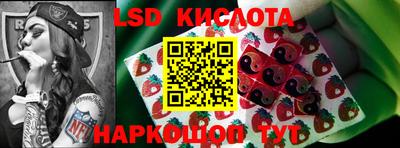 индика Можайск
