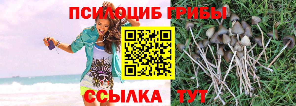 Галлюциногенные грибы GOLDEN TEACHER Сыктывкар